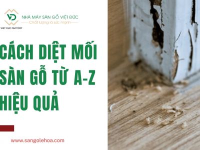 Cách diệt mối sàn gỗ từ A - Z hiệu quả